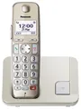 Produktbild: PANASONIC KX-TGE250GN Schnurloses Telefon