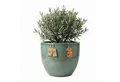 Produktbild: Teramico Blumentopf Pflanzgefäß 