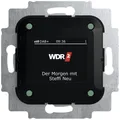 Produktbild: Busch-Jaeger Einsatz Radio 2CKA008200A0275 1 St.