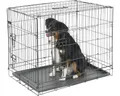 Produktbild: Transportbox KERBL klappbar 92x63x74 cm