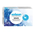 Produktbild: Sodasan Gallseife 100g Gallseife