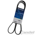 Produktbild: DAYCO KEILRIPPENRIEMEN 6PK2400 für AUDI A4 A5 A6 A8 ALLROAD Q5 SKODA SUPERB VW