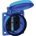 Produktbild: ABL Einbausteckdose SCHUKOplus, blau, IP54, mit Schraubanschluss (1561050)