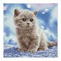 Produktbild: DIAMOND DOTZ - Diamond Painting Katzenbaby | Kit (Bastelset) (2024) | 2591776