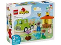 Produktbild: LEGO® 10419 DUPLO® Imkerei und Bienenstöcke NEU & OVP