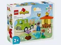 Produktbild: LEGO DUPLO 10419 Town Imkerei und Bienenstöcke  NEUHEIT 2024 OVP<