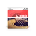 Produktbild: DAddario EJ39 Phosphor Bronze 12-String 012-052