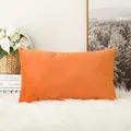 Produktbild: MIULEE Samt Kissenbezug Kissenhülle Deko Dekokissen Sofakissenbezug Bezug Couchkissen mit Verstecktem Reißverschluss für Sofa Wohnzimmer Schlafzimmer 12x20 Inch 30x50 cm 1 Stück Orange