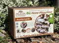 Produktbild: Austernpilz Pilzzucht Bio Homeset - alles in einer Box, Austernpilze züchten