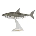 Produktbild: Fridolin 3D Papiermodell - Hai