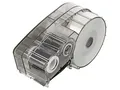 Produktbild: M21-500-595-GY Band 12,7mm 6,4m grau Zeichenfarbe: schwarz selbstklebend BRADY