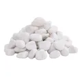 Produktbild: vidaXL Aquariendeko Polierte Kiesel 10 kg Weiß 2-5 cm
