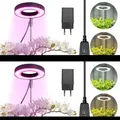 Produktbild: LED Pflanzenlampe Vollspektrum Dimmbar Wachstumslampe USB Grow Ringlicht Timer
