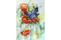 Produktbild: G/CARD B/FLY POPPIES - Counted Cross Stitch Kit: Greetings Card: Butterfly and Poppies - Orchidea