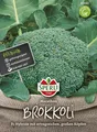 Produktbild: Brokkoli Marathon F1