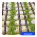 Produktbild: 1000gr KOKOSNUSS BAKLAVA COCONUT VERSAND GRATİS (TÄGLİCH FRİSCH)