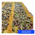 Produktbild: 1000gr HASIR PİSTAZİEN BAKLAVA VERSAND GRATİS (TÄGLİCH FRİSCH)