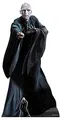 Produktbild: STAR CUTOUTS Lord Voldemort SC1481 Pappaufsteller Perfect for Fans, Lebensgröße, Harry Potter, Party-Thema, Höhe 184 cm, solide, normal