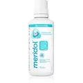 Produktbild: Meridol Gum Protection Mundspülung ohne Alkohol 400 ml