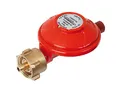 Produktbild: ROTHENBERGER Industrial Gasdruckregler 50 mbar für Propangasflaschen | Druckminderer mit Gasschlauch-Anschluss | Messing-Bauteile für Heiz-, Koch- und Grillgeräte, Camping & Caravanning | 035921E