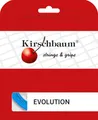 Produktbild: Kirschbaum Pro Line Evolution 1.25 12m - 1.25