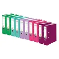 Produktbild: Original Falken 10er Pack PP-Color Kunststoff-Ordner. Made in Germany. 8 cm breit DIN A4 Vegan farbig sortiert zu je 2x türkis, flieder, brombeere, pink, hellgrün Aktenordner Briefordner