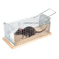 Produktbild: BESTIF Rattenfalle Lebendfalle für Ratten & Mäuse – Robuste Mausefalle lebend zur effektiven Schädlingsbekämpfung | Tierfreundlich & Wiederverwendbar 30x12x12cm