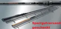 Produktbild: Sportex Carat GT-S SPIN CC2703 2,70m 22-73g 2 Teile Rute