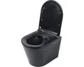 Produktbild: Differnz Wand-WC Set WC Tiefspüler ohne Spülrand schwarz matt mit WC-Sitz 38.500