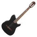 Produktbild: Ibanez TOD10N-TKF Gitarre Transparent Black Flat