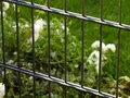 Produktbild: Peddy Shield Gartenzaun Doppelstabmatten ohne Pfosten anthrazit 10m, Höhe 123cm