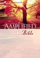 Produktbild: Large Print Bible-AM by Zondervan 0310951720 FREE Shipping