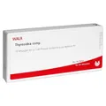 Produktbild: THYREOIDEA comp.Ampullen 10 ml