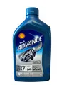 Produktbild: SHELL ADVANCE AX7 4T SAE J300 15W-50, API SL, JASO MA2 RCE für POWER BIKES