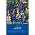 Produktbild: Kiepenkerl Lupinensamen Sommer Lupinus hartwegii 40 Pflanzen