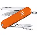 Produktbild: Victorinox Cellidor (V-0.62 23.83G)