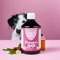 Produktbild: Tierliebhaber Läufigkeitssaft