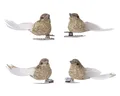Produktbild: Kaemingk Christbaumschmuck, Christbaumschmuck Kunststoff Vögel mit Federn & Clip 5cm 4er Set Gold