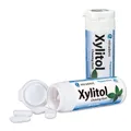 Produktbild: miradent Xylitol Chewing Gum Minze