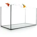 Produktbild: Aquarium Becken rechteckig standard Größen Glas Aquariumbecken Garnelenaquarium Mini Aquarium Salzwasseraquarium Nanobecken 80x35x40