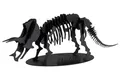 Produktbild: Fridolin 11643 3D-Papiermodell - Triceratops