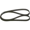 Produktbild: Bosch 1 987 948 464 Keilrippenriemen für MAZDA SAAB Treibriemen Längsrippen