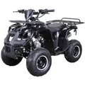 Produktbild: Benzin-Jugend-Quad S-8 Farmer, 125 ccm, ATV, Not-Aus-Leine, Automatik, Alarmanlage, Scheibenbremse (Schwarz)