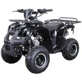 Produktbild: Jugendquad S-8 Farmer Benzin Quad | Midiquad - Miniquad - Pocket Bike - Pocketquad - Automatik - Not-Aus-Leine - Alarmanlage - Offroad Quad (Schwarz)