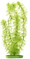 Produktbild: Marina Aquascaper, Aquarienpflanze, Wasserpflanze, aus Kunststoff, Hornwort, 30cm
