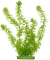 Produktbild: Marina Aquascaper Hornwort - ca. 30cm hoch