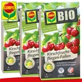 Produktbild: COMPO 3 x 3 Stück BIO Kirschfruchtfliegen-Fallen | für Kirsch- und Walnussbäume