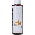 Produktbild: KORRES Sunflower und Mountain Tea Shampoo für coloriertes Haar 250ml