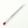 Produktbild: Wasserthermometer Glas -20 bis 110°C 30cm Kerzenwachs Thermometer Einkochen