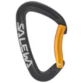 Produktbild: Salewa - Ortles Bent Carabiner - Schnappkarabiner grau